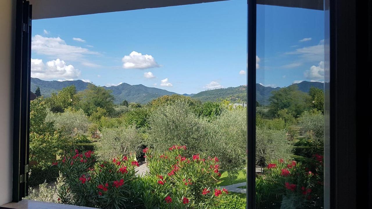 Salvia E Rosmarino - Affittacamere In Liguria Villanova d'Albenga Kültér fotó