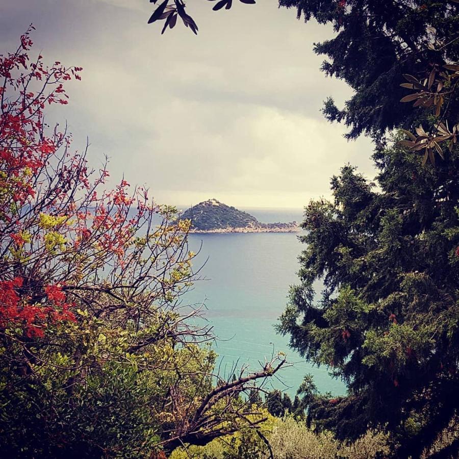 Salvia E Rosmarino - Affittacamere In Liguria Villanova d'Albenga Kültér fotó