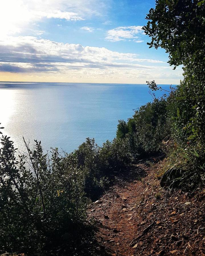 Salvia E Rosmarino - Affittacamere In Liguria Villanova d'Albenga Kültér fotó