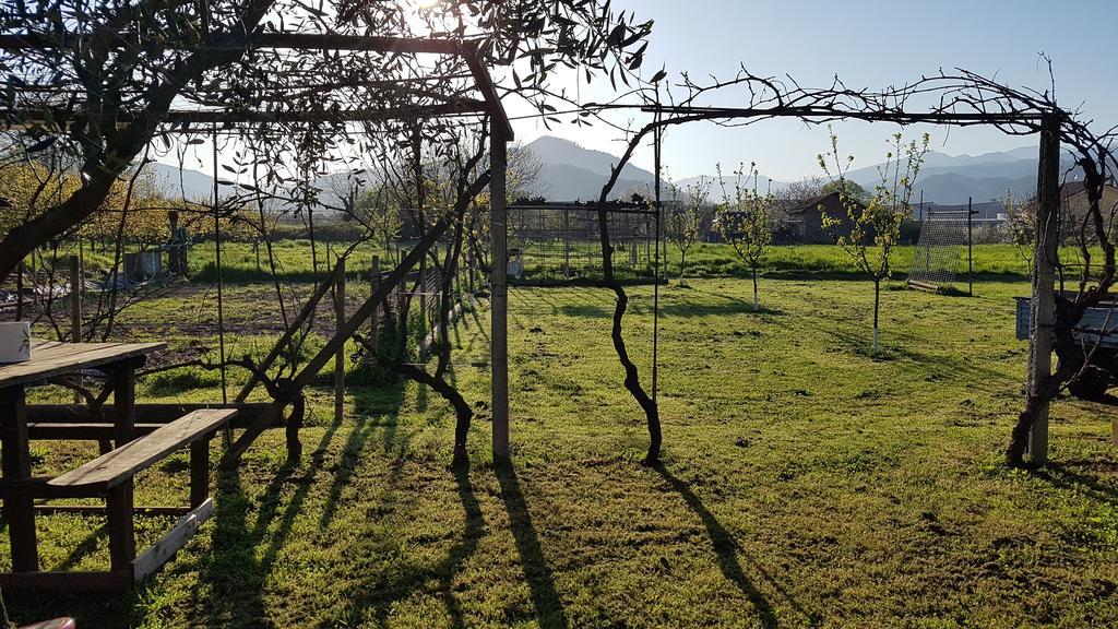 Salvia E Rosmarino - Affittacamere In Liguria Villanova d'Albenga Kültér fotó