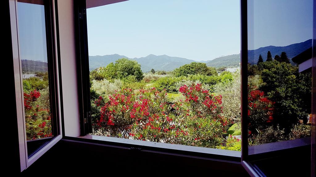 Salvia E Rosmarino - Affittacamere In Liguria Villanova d'Albenga Kültér fotó